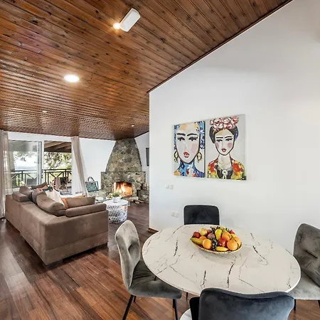 Forest View Villa Platres