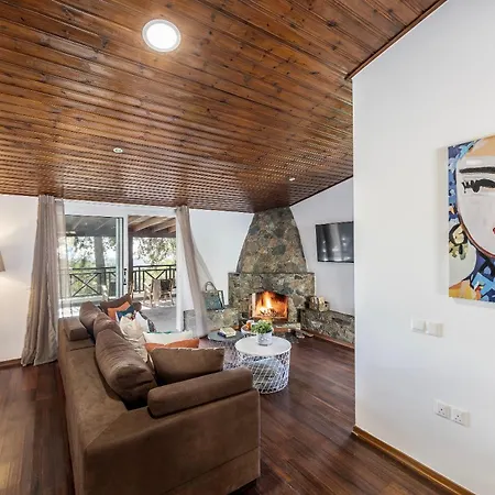 Forest View * Platres