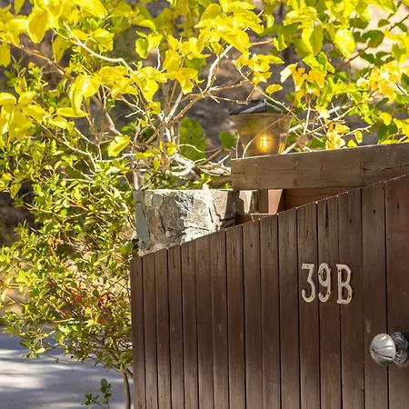 Forest View * Platres