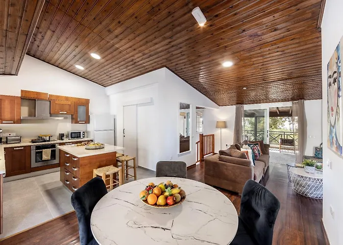 Forest View * Platres