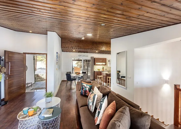 Forest View Vila Platres