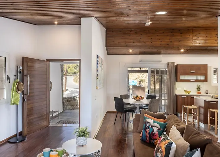 Villa Forest View Platres