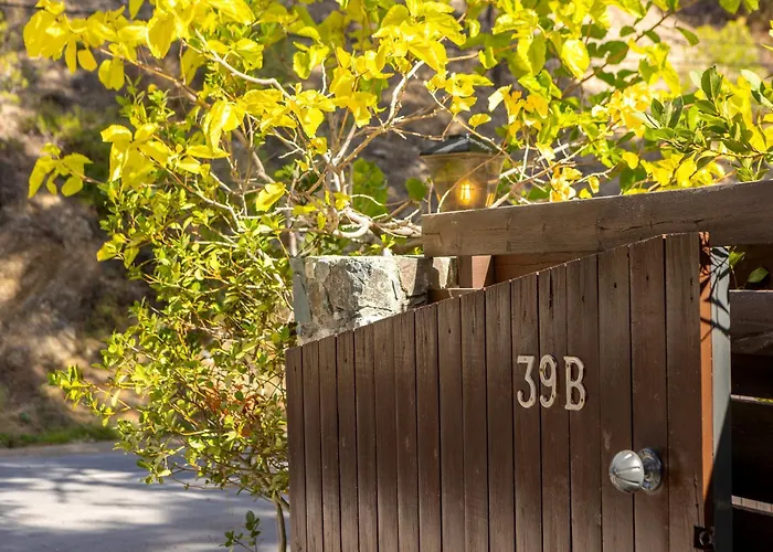 Forest View * Platres